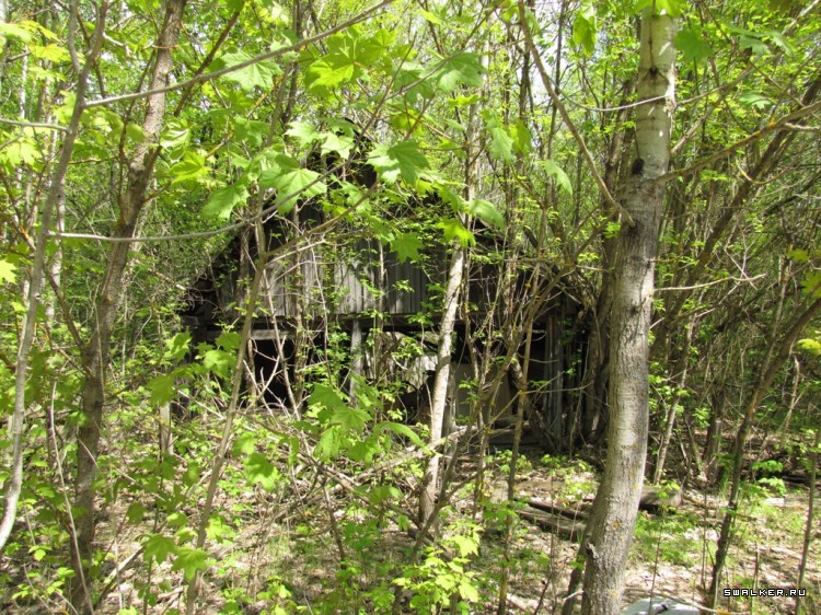 Чернобыльская зона отчуждения