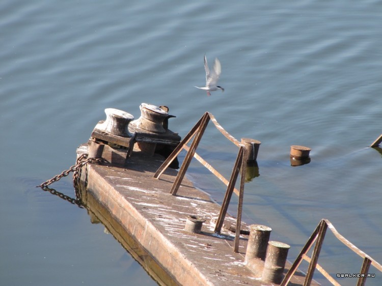 Чернобыльская зона отчуждения