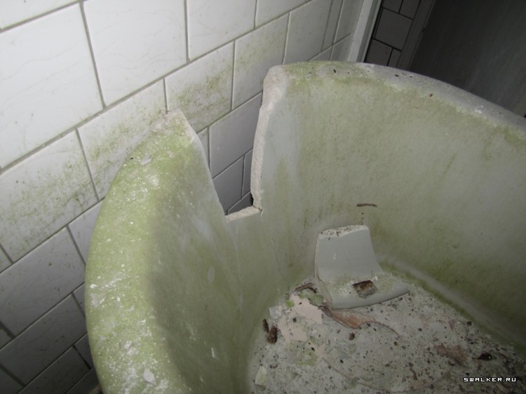 Чернобыльская зона отчуждения