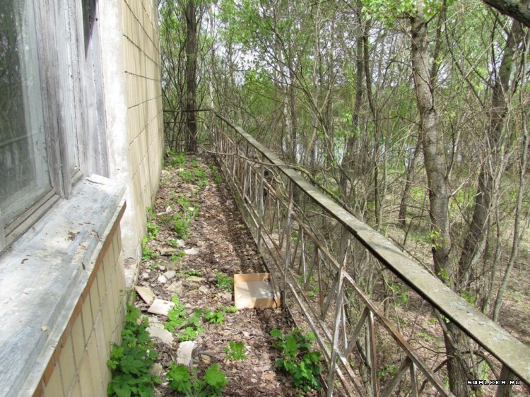 Чернобыльская зона отчуждения