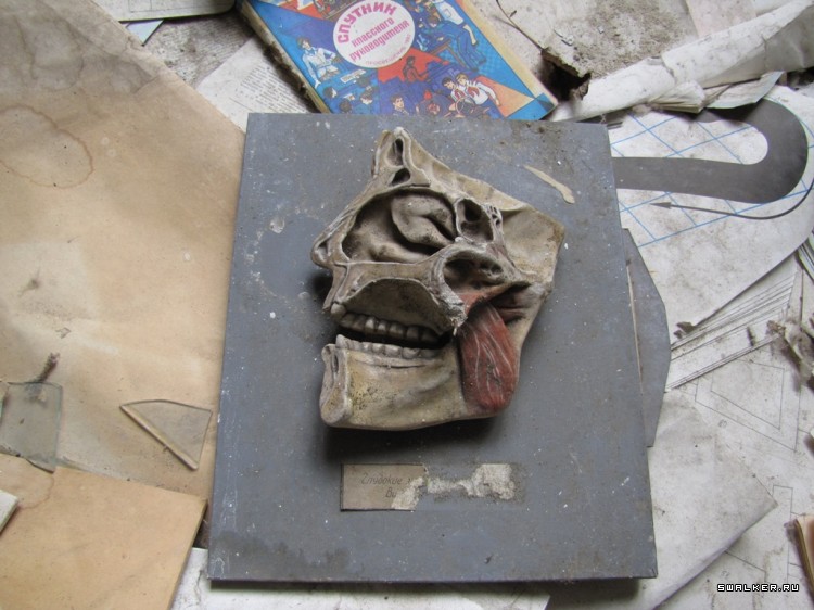 Чернобыльская зона отчуждения