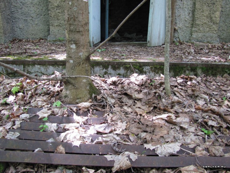 Чернобыльская зона отчуждения