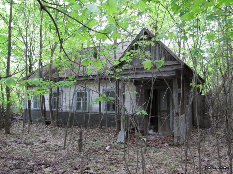 Чернобыльская зона отчуждения