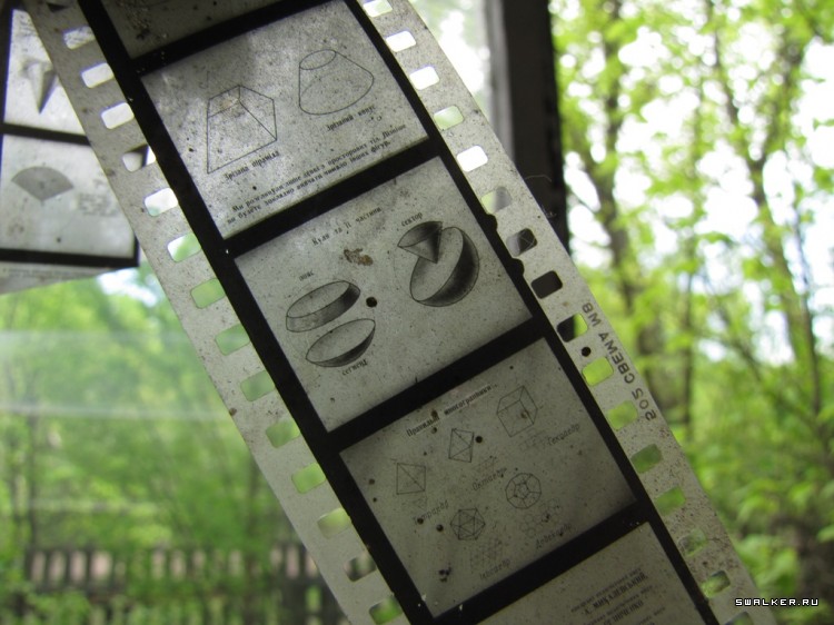 Чернобыльская зона отчуждения