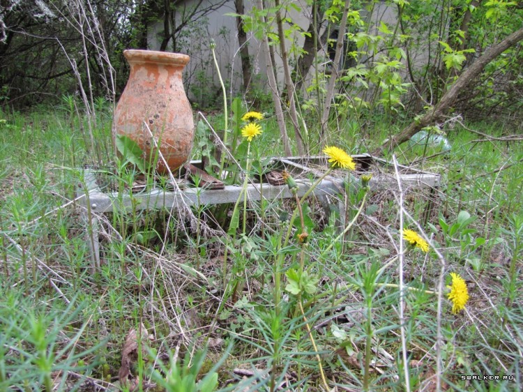 Чернобыльская зона отчуждения