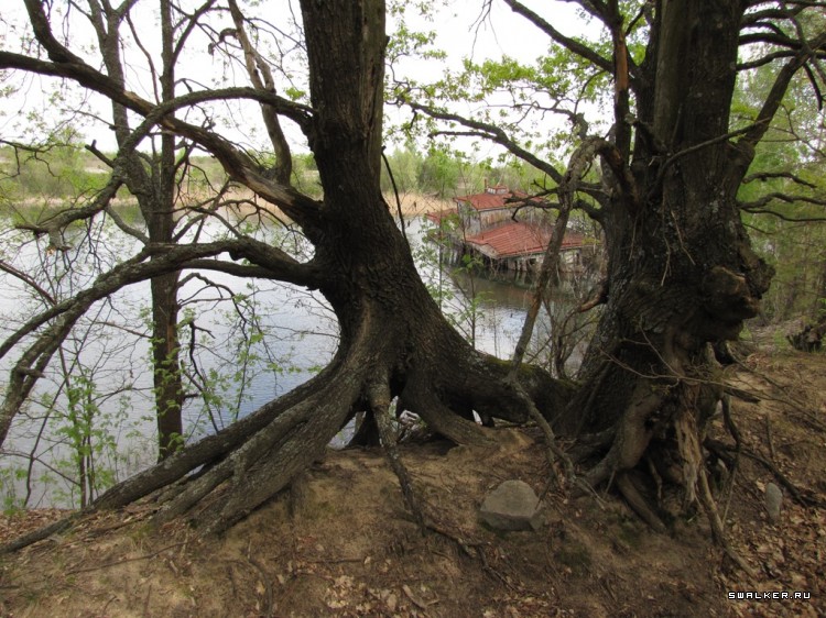 Чернобыльская зона отчуждения