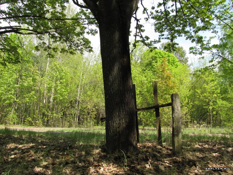 Чернобыльская зона отчуждения