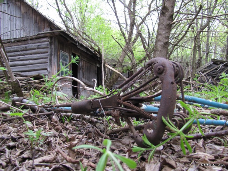 Чернобыльская зона отчуждения