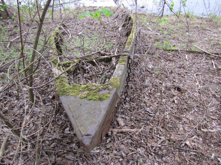 Чернобыльская зона отчуждения