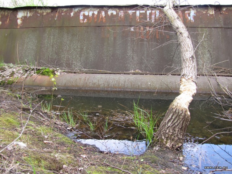 Чернобыльская зона отчуждения