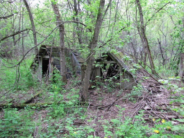Чернобыльская зона отчуждения