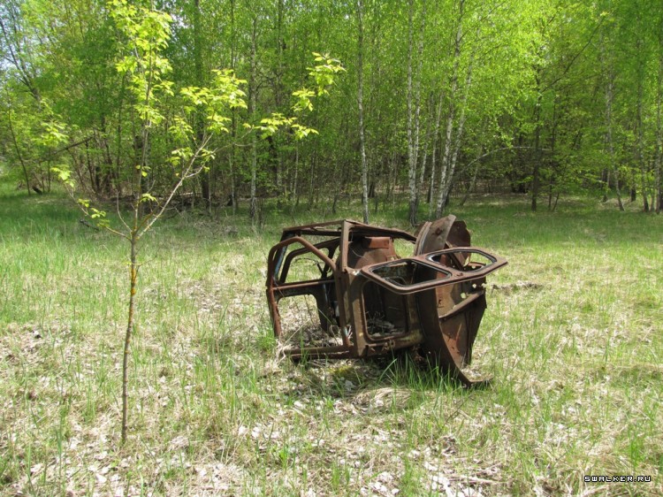 Чернобыльская зона отчуждения