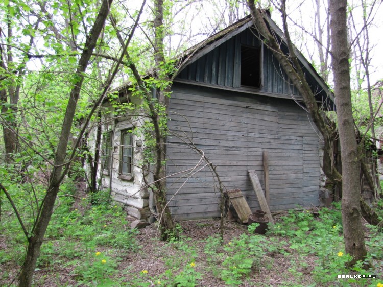 Чернобыльская зона отчуждения