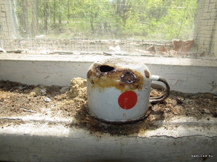 Чернобыльская зона отчуждения