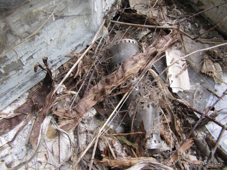 Чернобыльская зона отчуждения