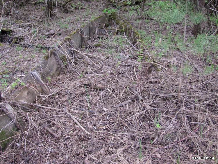 Чернобыльская зона отчуждения