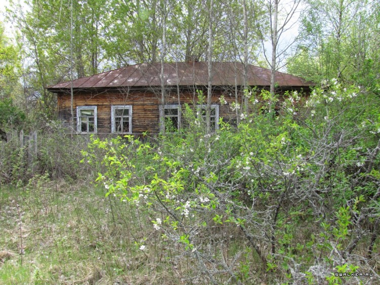 Чернобыльская зона отчуждения