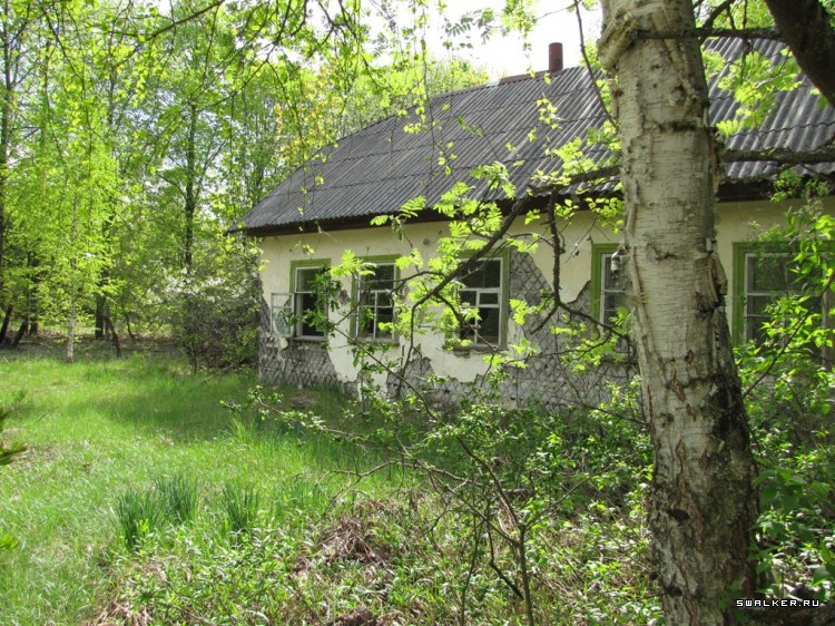 Чернобыльская зона отчуждения