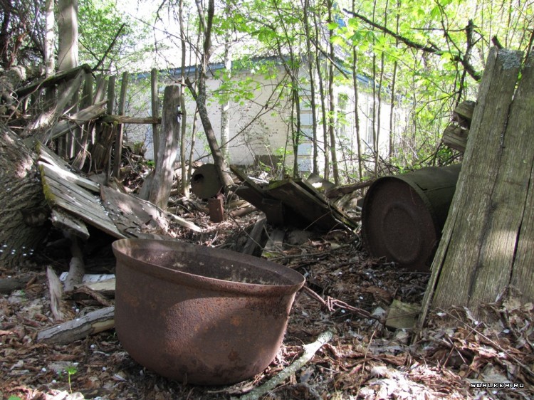 Чернобыльская зона отчуждения