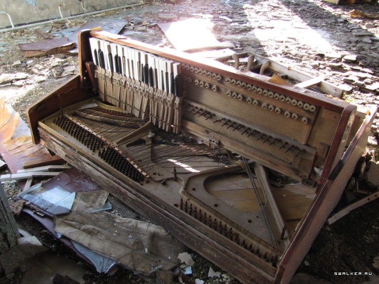 Чернобыльская зона отчуждения