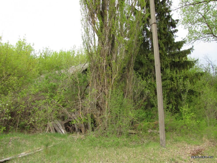 Чернобыльская зона отчуждения