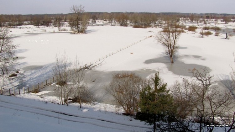 Чернобыльская зона отчуждения