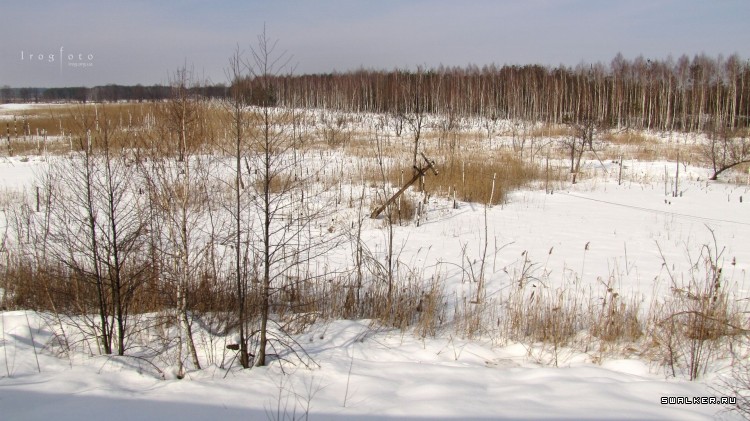 Чернобыльская зона отчуждения
