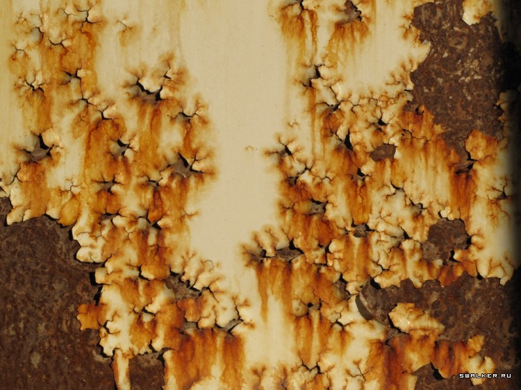 Чернобыльская зона отчуждения