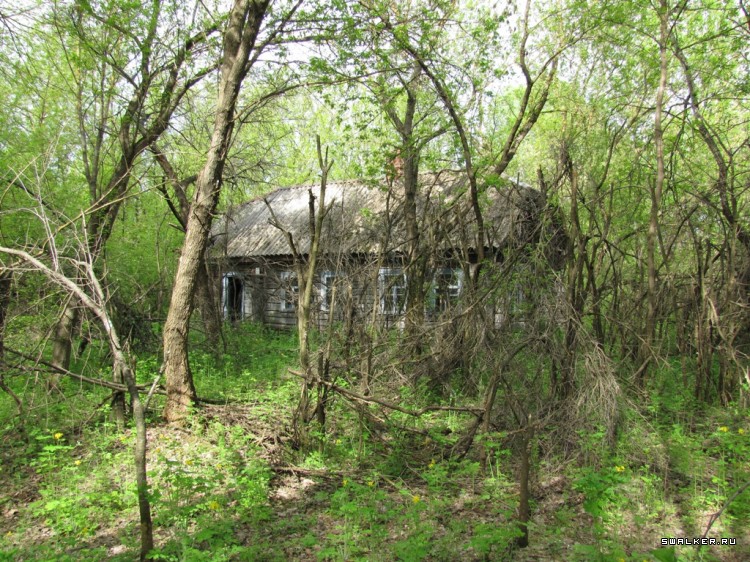 Чернобыльская зона отчуждения