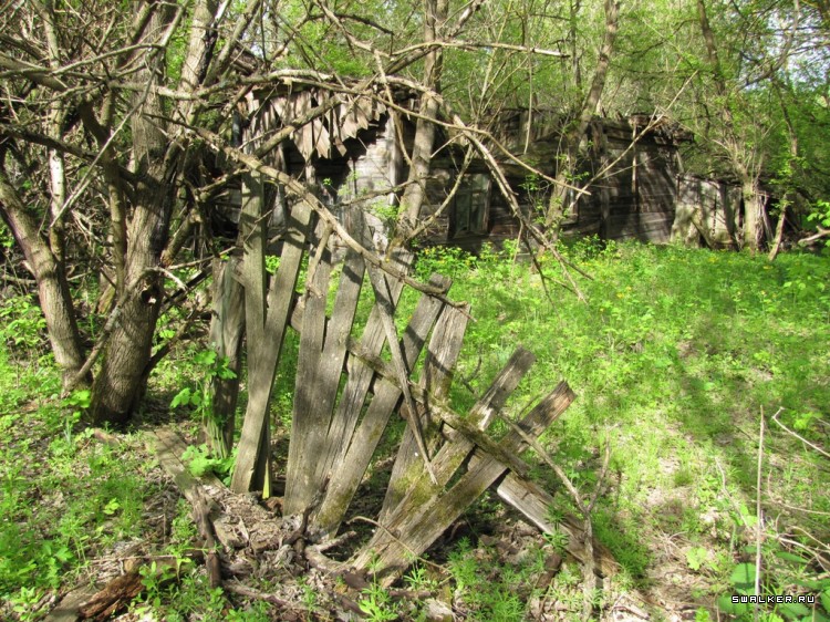 Чернобыльская зона отчуждения