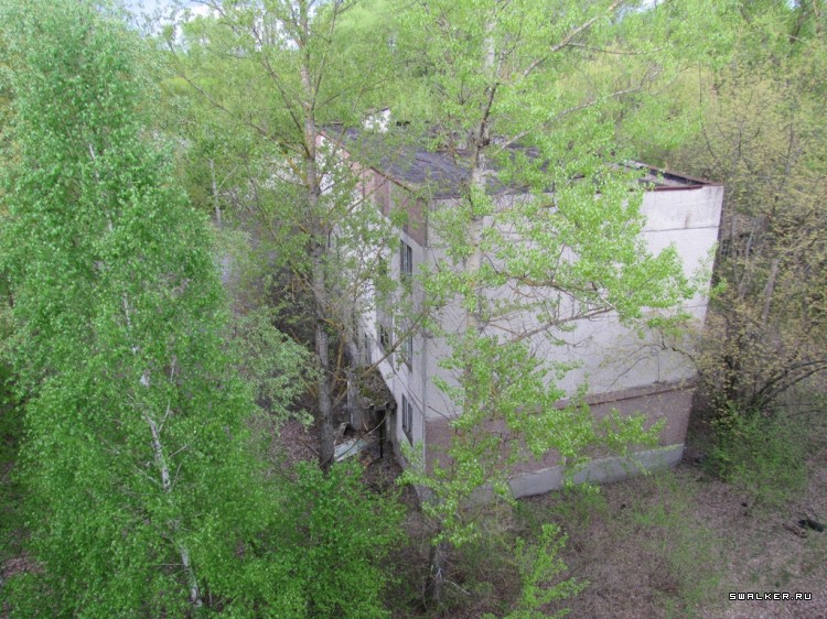 Чернобыльская зона отчуждения