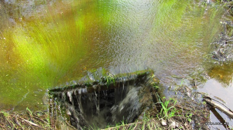 Чернобыльская зона отчуждения