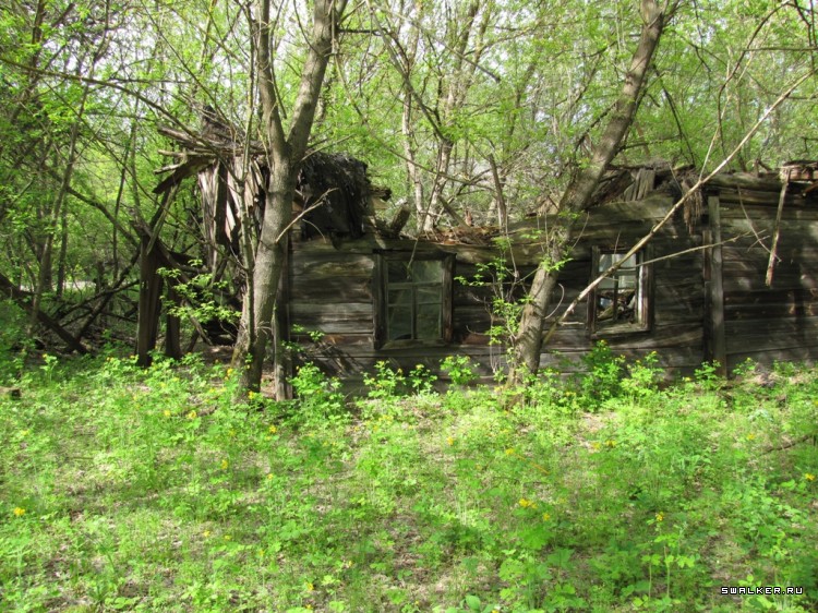 Чернобыльская зона отчуждения