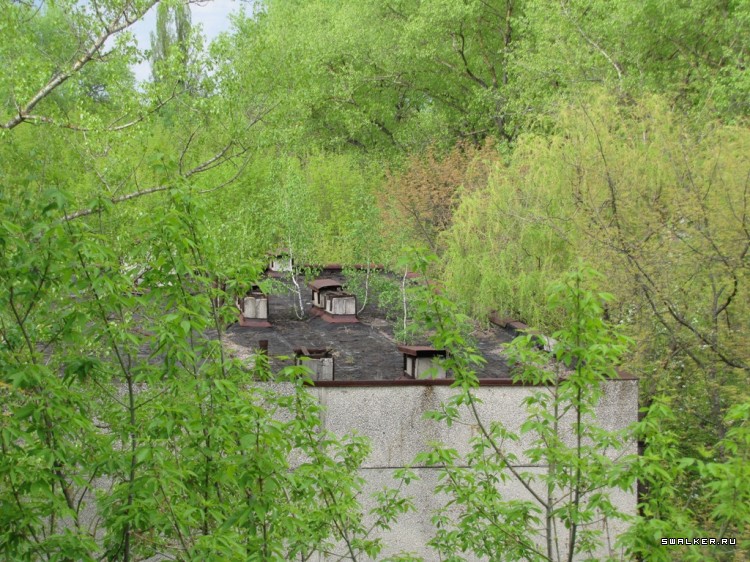 Чернобыльская зона отчуждения