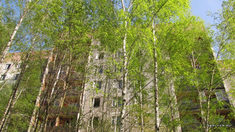 Чернобыльская зона отчуждения