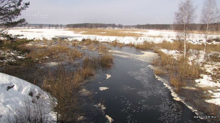 Чернобыльская зона отчуждения