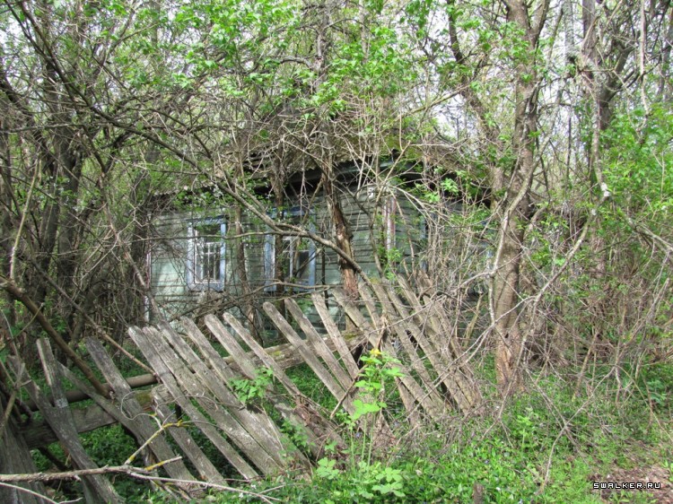 Чернобыльская зона отчуждения