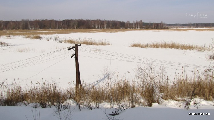 Чернобыльская зона отчуждения