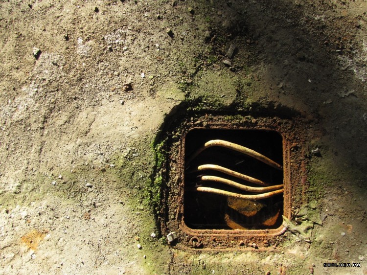 Чернобыльская зона отчуждения