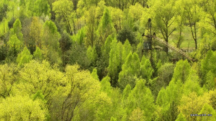 Чернобыльская зона отчуждения