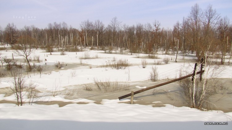 Чернобыльская зона отчуждения