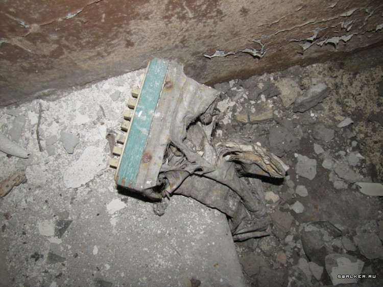 Чернобыльская зона отчуждения