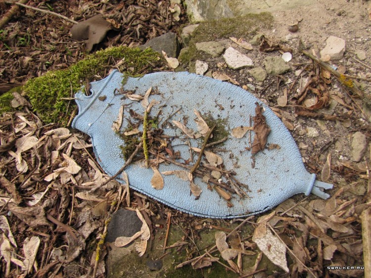 Чернобыльская зона отчуждения