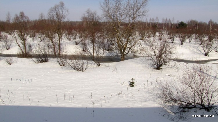 Чернобыльская зона отчуждения