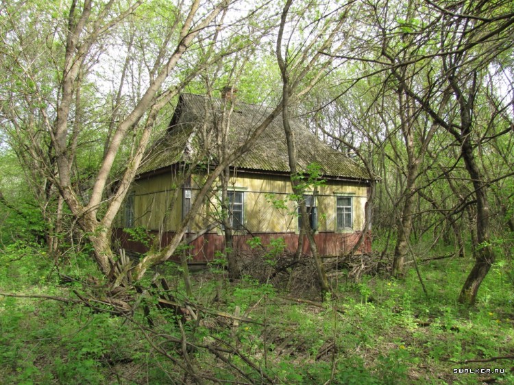 Чернобыльская зона отчуждения