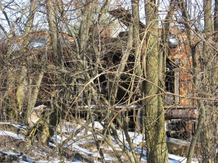 Чернобыльская зона отчуждения