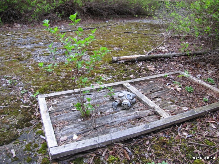 Чернобыльская зона отчуждения