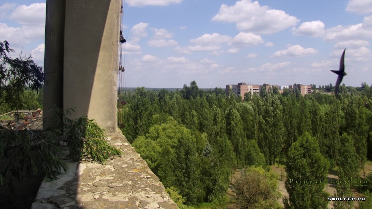 Чернобыльская зона отчуждения