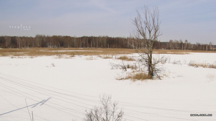 Чернобыльская зона отчуждения
