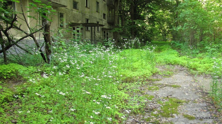 Чернобыльская зона отчуждения